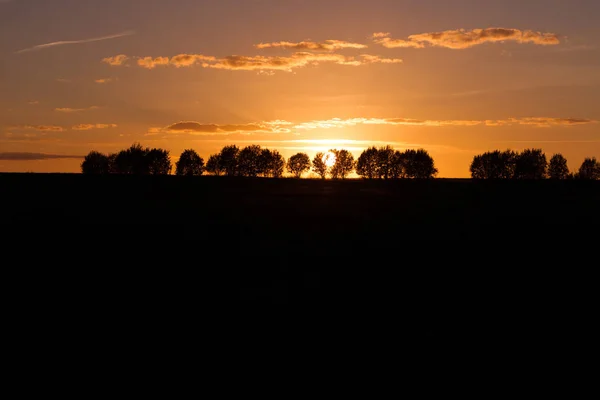 Siluetas Árboles Contra Cielo Del Atardecer Con Nubes Paisaje Sol — Foto de Stock