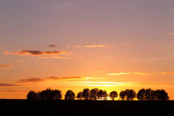 Günbatımı Gökyüzü Bulutlu Karşı Ağaçlarının Silhouettes Manzara Güneş Gün Batımı — Stok fotoğraf