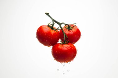 Damla ile dal beyaz bir backgrou su kırmızı domates