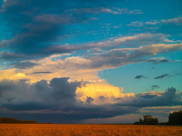 Akşamları Gün Batımında Güneş Işığı Tahıl Tarlasıyla Aydınlanan Gök Gürültülü — Stok fotoğraf