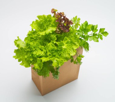 Sebze salatası için çeşitli malzemeler. Beyaz arka planda kağıt bir çantada taze toplanmış yeşillikler. Marul, maydanoz ve dereotu. Tahsilat. Hazır ol. Sağlıklı yiyecekler. Yaşam biçimi