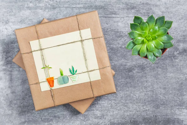 Gift wrapped in craft paper, succulent houseplant, watercolor drawing of indoor plants in pots. Postcard for the holiday, congratulations. The concept of ecology, houseplant care.
