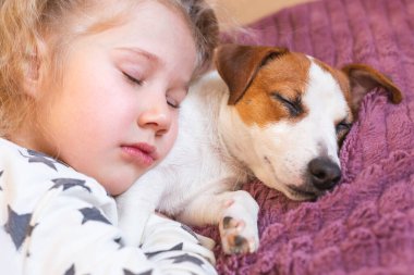 Pijamalı küçük bir kız ve köpek Jack Russell birlikte yatıyor. Evcil hayvan sevgisi, arkadaşlık, sarılma, çocukluk kavramı..