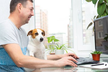 Kafkasyalı bir adam pencerenin yanındaki bilgisayarın başında oturur, çiçekli, gülümser, bir köpek Jack Russell Terrier kucağına oturur, patisini sahibinin eline koyar. Ev ofisi, uzaktan öğrenme, uzaktan çalışma, takım çalışması