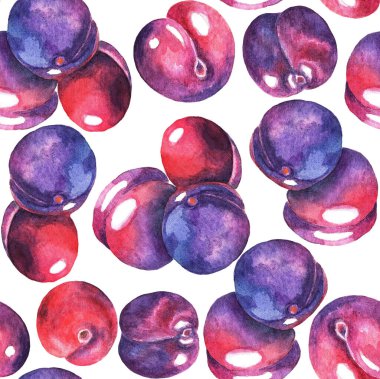 Beyaz arka planda pürüzsüz erik deseni var. Suluboya. Görüntü