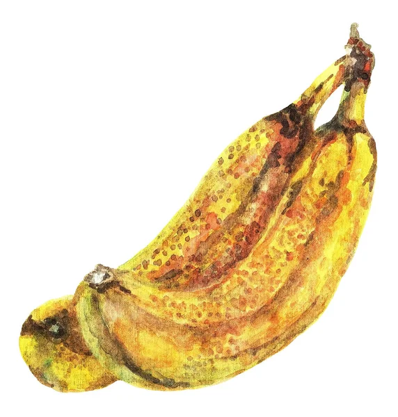 Dwa Banany Białym Tle Akwarela Ilustracja — Zdjęcie stockowe