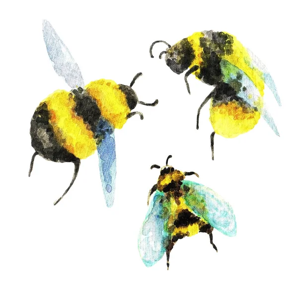 Bumblebee White Background Watercolor Illustration — Stock Photo, Image