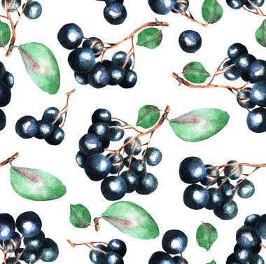 Beyaz arkaplan, desen, suluboya, illüstrasyon