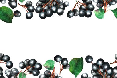 Beyaz arkaplan, desen, suluboya, illüstrasyon