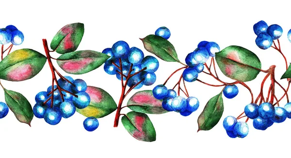 Blauwe Bessen Een Witte Wenkbrauw Patroon Aquarel Illustratie — Stockfoto