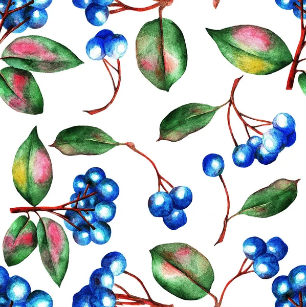 Blauwe Bessen Een Witte Wenkbrauw Patroon Aquarel Illustratie — Stockfoto