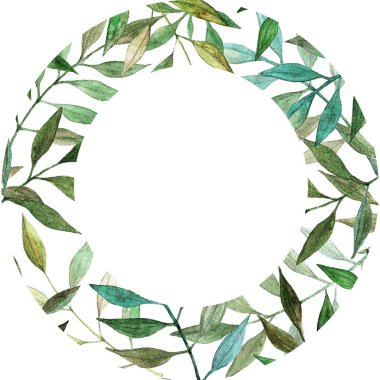 Beyaz arka planda yeşil yapraklar, suluboya. Görüntü