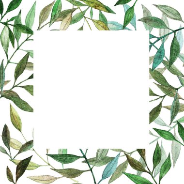 Yapraklı, desenli, suluboya yeşil dallı desen, beyaz arka planda izole edilmiş el çizimi.