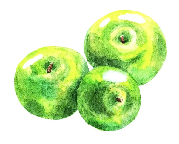 白色背景上有三个绿色苹果 水彩画说明1 — 图库照片