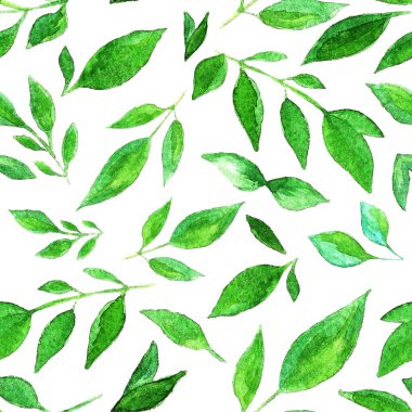 Beyaz arka planda yeşil yapraklı ve dallı kusursuz suluboya desenler, ambalajlar, duvar kağıtları, kartpostallar, tebrik kartları, düğün davetiyeleri, romantik etkinlikler için mükemmel.