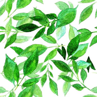 Beyaz arka planda yeşil yapraklı ve dallı kusursuz suluboya desenler, ambalajlar, duvar kağıtları, kartpostallar, tebrik kartları, düğün davetiyeleri, romantik etkinlikler için mükemmel.