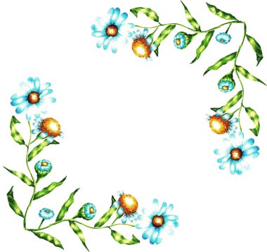 Papatya ve yeşil yapraklı suluboya çerçeve. Beyaz arka planda yumuşak çayır çiçeklerinin el çizimi 