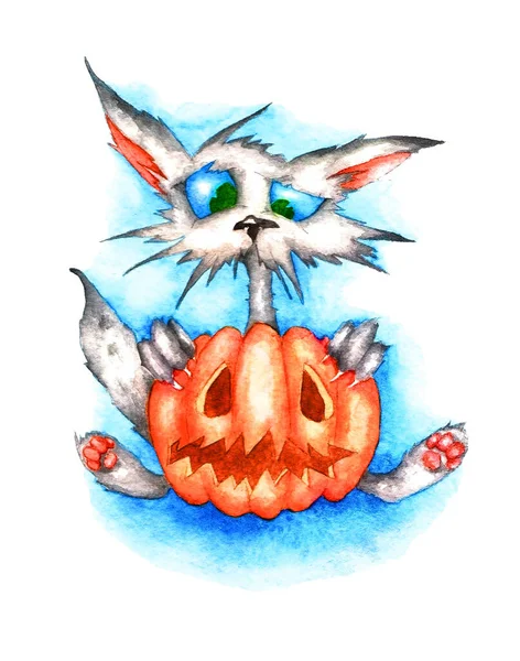 Katt Och Pumpa Halloween Vit Bakgrund Akvarell Illustration — Stockfoto