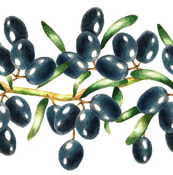 Une Branche Une Olive Noire Avec Des Feuilles Sur Fond — Photo