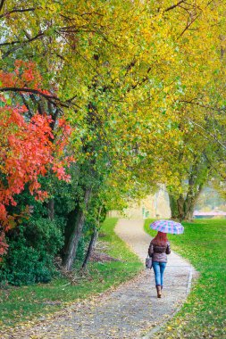 Genç kadın parkta yürüyüş sonbahar sezonu, Lecco, İtalya
