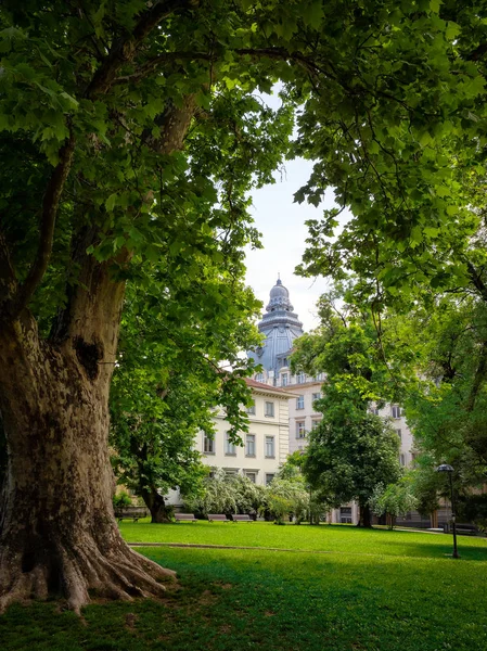 Bulgaristan, Sofya, güneşli bahar gün boyunca ağaçlar arasında çerçeveli University Park