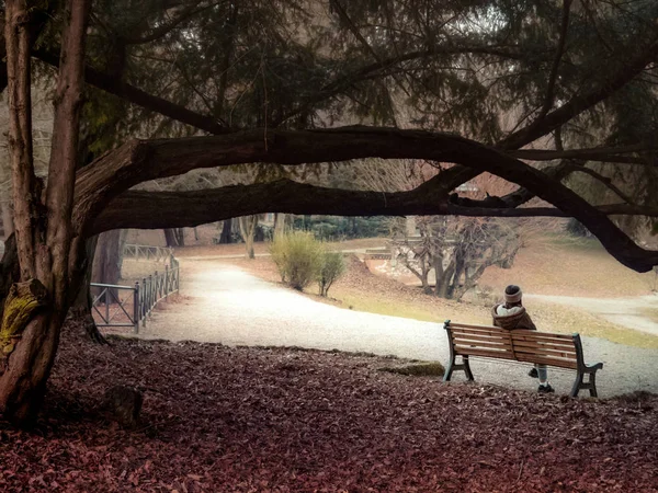 Young Woman Sitting Alone Bench Park Thinking Next Decisions Take — Stock Photo, Image