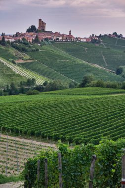 Langhe tepelerinde küçük bir köy, Piedmont, üzüm bağları ve şarap üretimi ile ünlüdür, İtalya