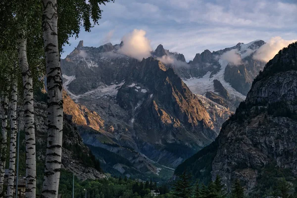 前景に白樺の木があるモンブラン氷河の風景 Courmayour Aosta Italy — ストック写真