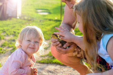 Ördek yavrusu tutan bir adam. 