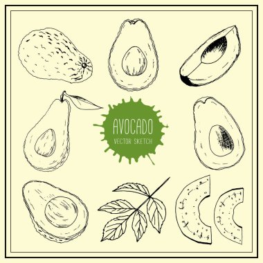 Elle çizilmiş çeşitli avokadoların vektör kümesi.
