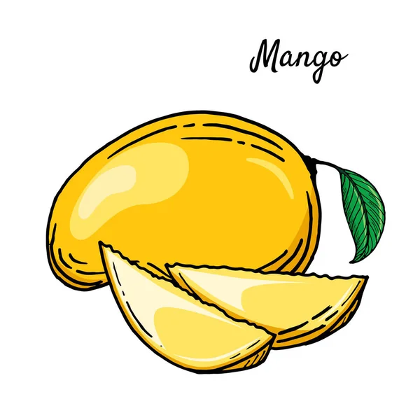 Ilustração Brilhante Mangas Estilo Desenho Mão Fruta Tropical Suculenta Madura — Vetor de Stock