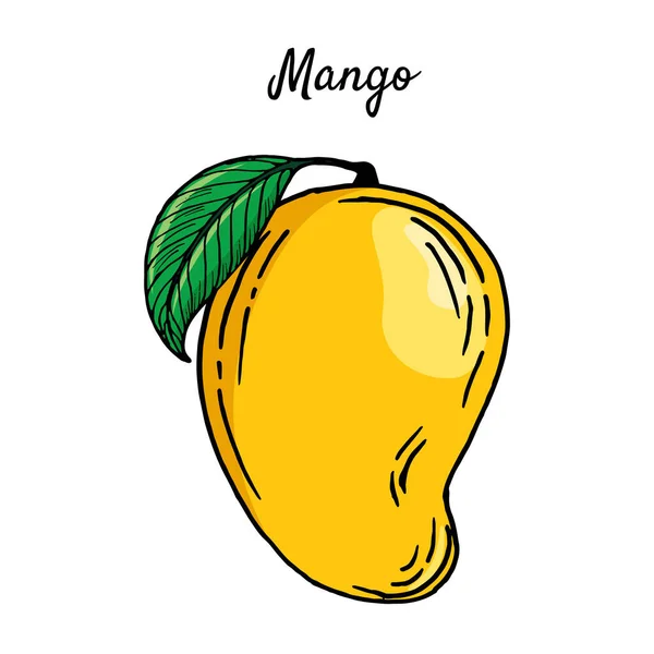 Ilustração Brilhante Mangas Estilo Desenho Mão Fruta Tropical Suculenta Madura — Vetor de Stock