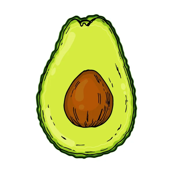 Kleurrijke Avocado Illustratie Werd Getekend Een Grafische Stijl Geschikt Voor — Stockvector