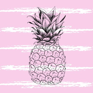 Ananasın vektör çizimi. Elle çizilmiş. Tropik bir yaz havası yaratır..