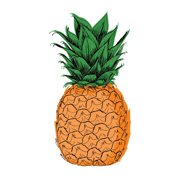 Icono De Boceto De Pinaストックベクター ロイヤリティフリーicono De Boceto De Pinaイラスト ページ 8 Depositphotos