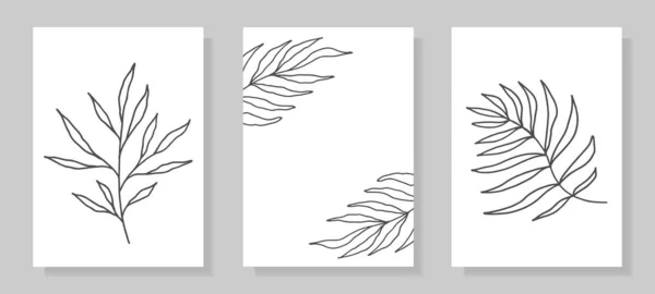 Conjunto Plantas Tropicales Misteriosas Blanco Negro Hojas Abstractas Estilo Arte — Vector de stock