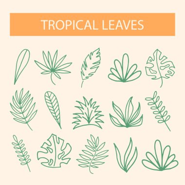 Tropikal yaprak ve şekil ikonu. Soyut ögeler temalı dekor için uygundur.
