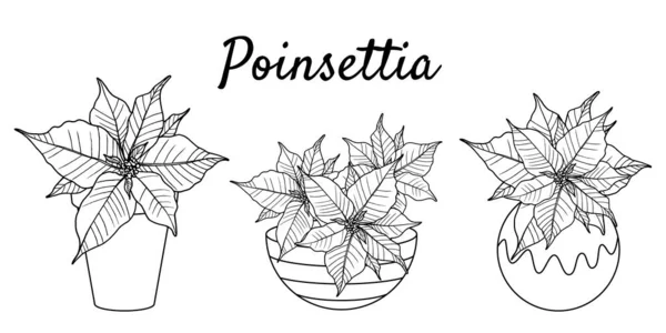 Plantes Noël Illustration Poinsettia Dans Pot Style Ligne Doodle Illustration — Image vectorielle