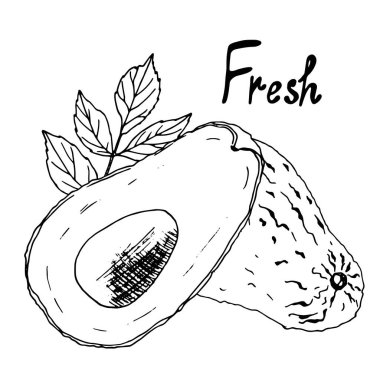 Grafik şeklinde çizilmiş avokado ile vektör çizimi. Menü tasarımı ve sağlıklı yiyeceklerin dekorasyonu için mükemmel..