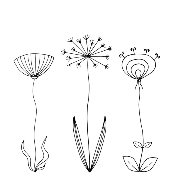 Doodle Flores Ilustración Vector Dibujado Mano Blanco Negro Resumen Flores — Archivo Imágenes Vectoriales