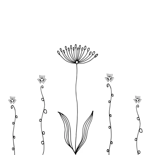 Doodle Flores Ilustración Vector Dibujado Mano Blanco Negro Resumen Flores — Archivo Imágenes Vectoriales