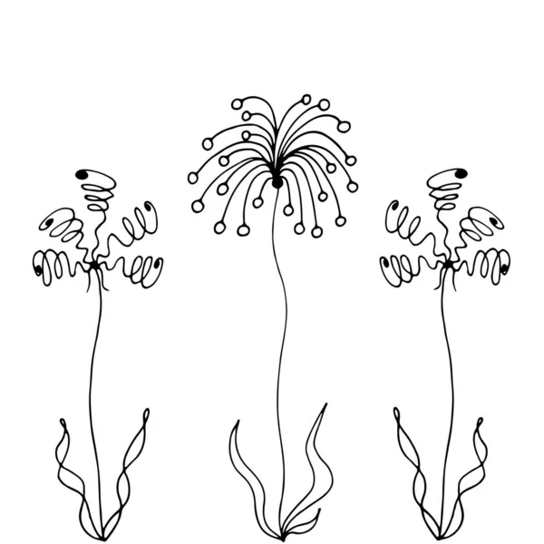 Λουλουδάκια Vector Χέρι Επέστησε Ασπρόμαυρη Εικόνα Αφηρημένη Ασυνήθιστα Λουλούδια Είναι — Διανυσματικό Αρχείο