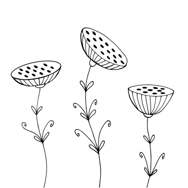 Doodle Flores Vector Mano Dibujado Ilustración Blanco Negro Resumen Flores — Archivo Imágenes Vectoriales