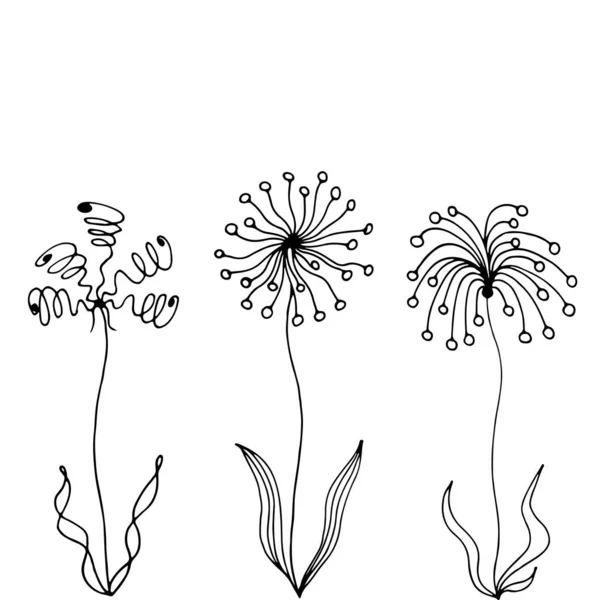 Λουλουδάκια Vector Χέρι Επέστησε Ασπρόμαυρη Εικόνα Αφηρημένη Ασυνήθιστα Λουλούδια Είναι — Διανυσματικό Αρχείο