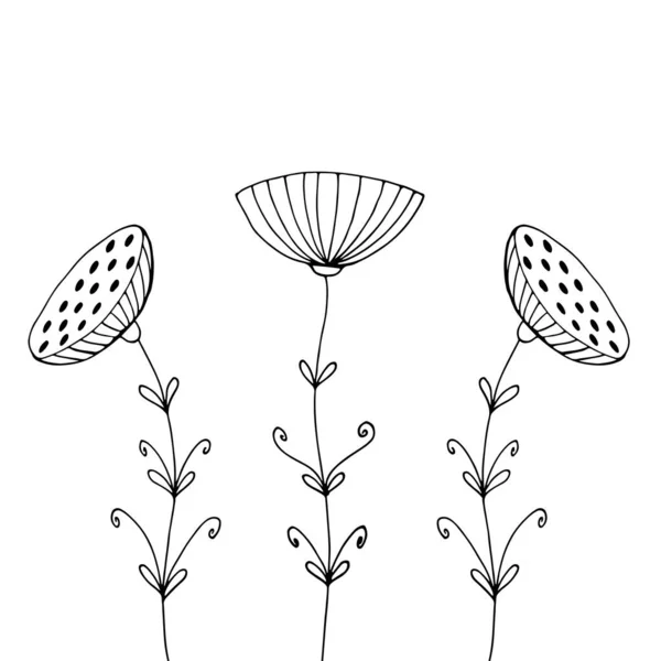 Čmáranice Vektorová Ruka Nakreslila Černobílý Obrázek Abstraktní Neobvyklé Květiny Jsou — Stockový vektor