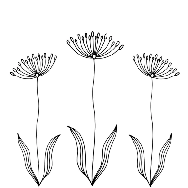 Doodle Flores Vector Mano Dibujado Ilustración Blanco Negro Resumen Flores — Archivo Imágenes Vectoriales