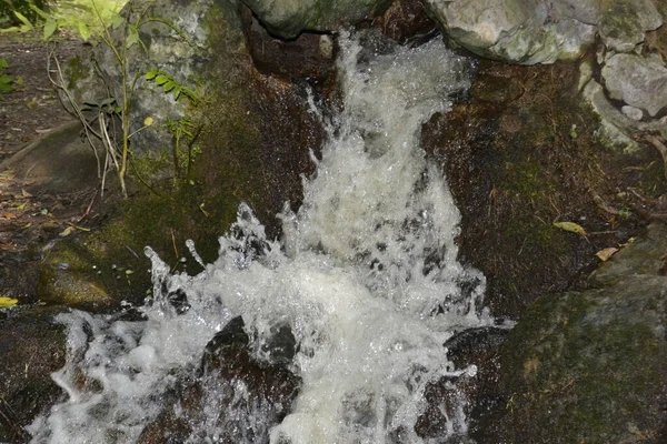 Wasserfall Eines Flusses Der Durch Gernica Biskaya Fließt Spanien — Stockfoto
