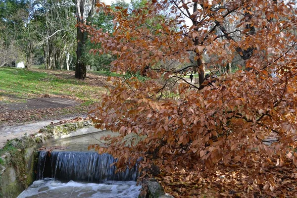 Höstens Närvaro Madrid Spanien — Stockfoto