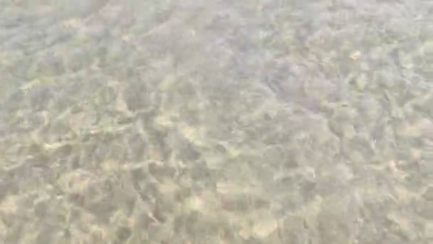 ベニカシムのサンビセンテ ビーチのトーレ ビセンテです 地中海が見えます — ストック動画