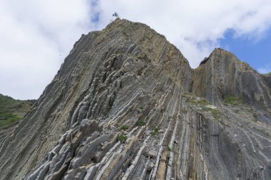 Cantabrian Denizi manzarası ve Zumaia Bask Bölgesi İspanya 'da yeşil doğa, bölgenin Flysch' i ile birlikte..